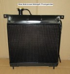 Wasserkühler HL Netzerneuerung / Kühler Überholung  > Borgward Goliat
