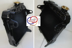 Überholung, Netzerneuerung m. Leistungsverbesserten Netz, Honda S800 Kühler, Wasserkühler